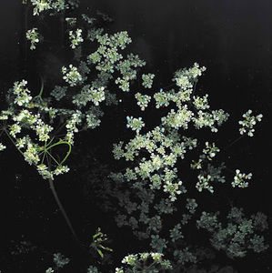 Meet your Posher, Lucia